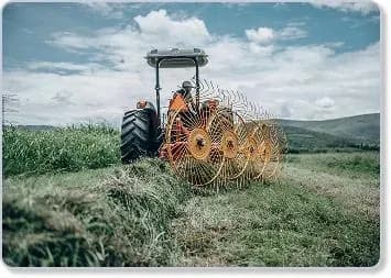 Preparación del terreno
